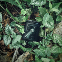 Load image into Gallery viewer, Lady of the Lake