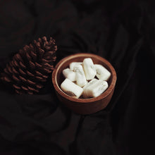 Load image into Gallery viewer, Into the Woods Scent Compendium