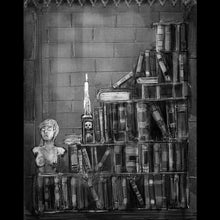 Load image into Gallery viewer, Gothic Library