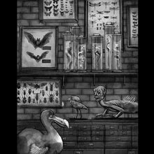 Load image into Gallery viewer, The Lower Archives