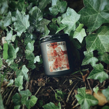 Load image into Gallery viewer, King Arthur