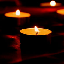 Load image into Gallery viewer, Into the Woods Scent Compendium